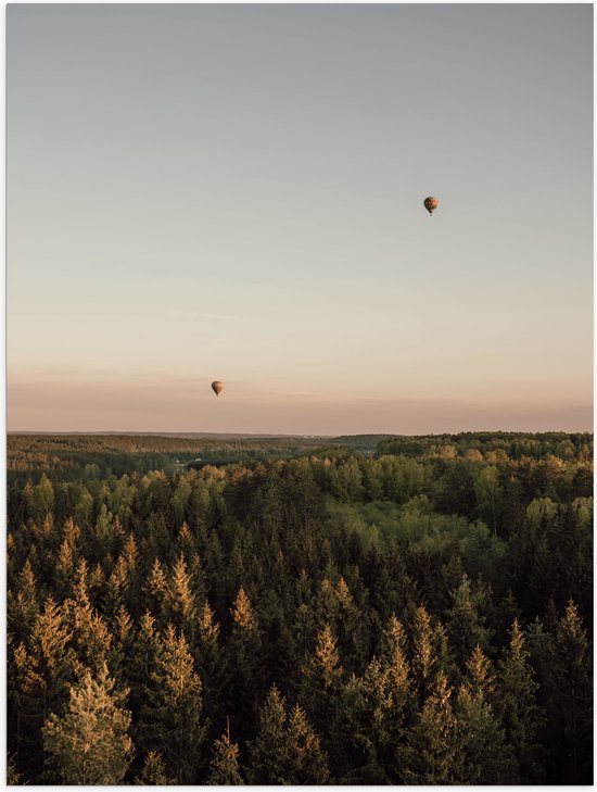 Poster (Mat) - Luchtballonnen boven de Bossen - 60x80 cm Foto op Posterpapier met een Matte look