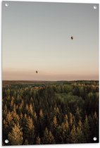 Tuinposter – Luchtballonnen boven de Bossen - 60x80 cm Foto op Tuinposter (wanddecoratie voor buiten en binnen)