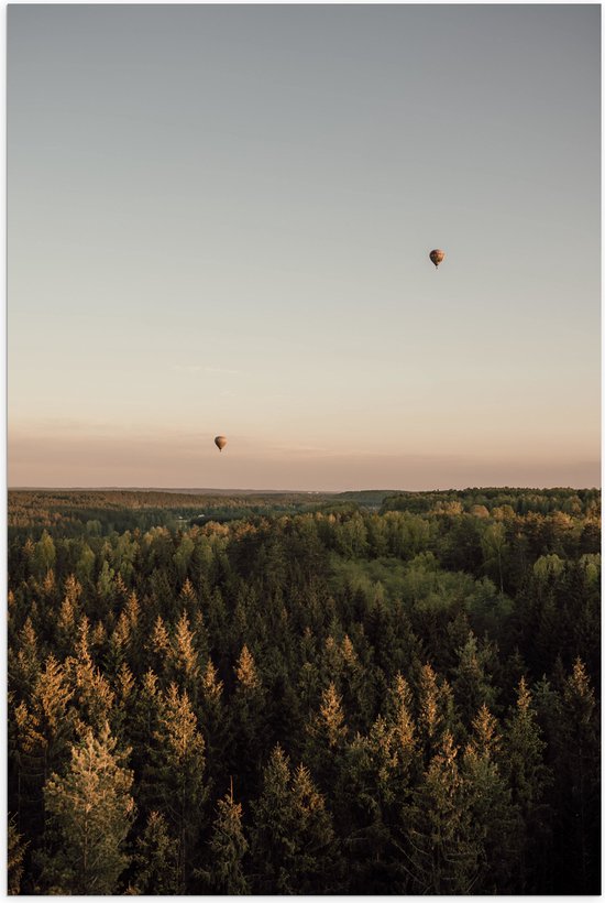 Poster Glanzend – Luchtballonnen boven de Bossen - 40x60 cm Foto op Posterpapier met Glanzende Afwerking