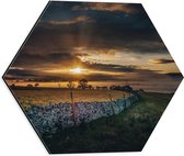 Dibond Hexagon - Groen Landschap onder Zonsondergang - 40x34.8 cm Foto op Hexagon (Met Ophangsysteem)