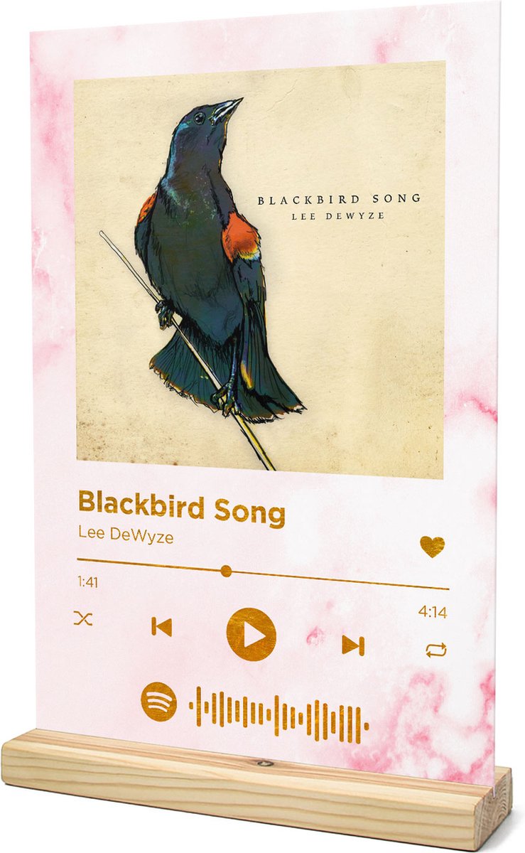 Songr Spotify Muziek Bordje - Blackbird Song - Lee DeWyze - 20x30 - Roze -  Dibond... 