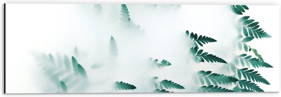 Dibond - Groene Balderen in Mist - 60x20 cm Foto op Aluminium (Wanddecoratie van metaal)