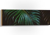 Hout - Groene Palmbladeren - 90x30 cm - 9 mm dik - Foto op Hout (Met Ophangsysteem)