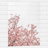 Muursticker - Roze Sakura - 50x75 cm Foto op Muursticker