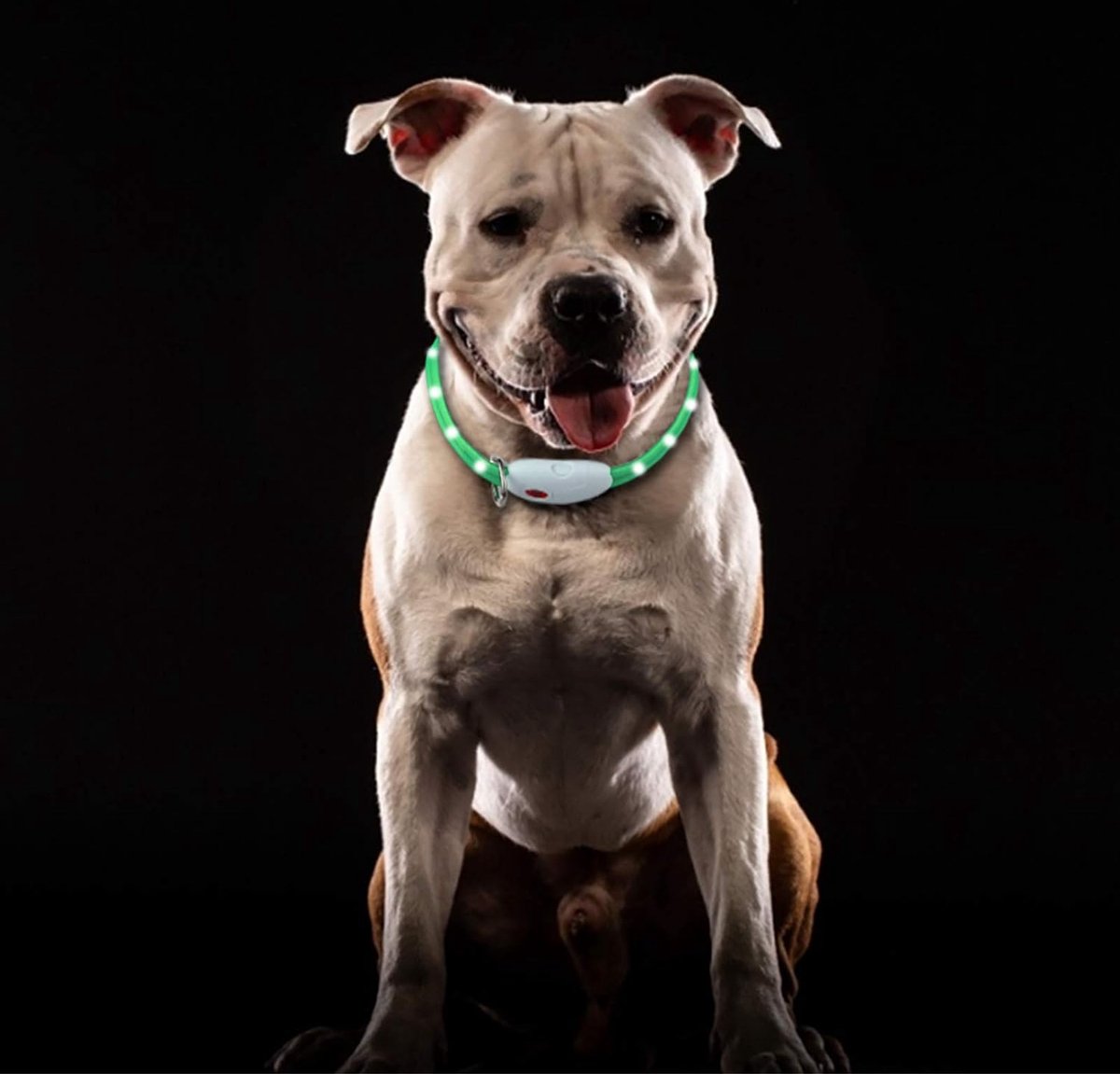 Sarsumir Led Hondenhalsband Voor Honden, Usb, Oplaadbaar, Met 3 Lichtmodi Waterdicht Verstelbaar Led Halsband Voor Honden Aanbieding 31784816