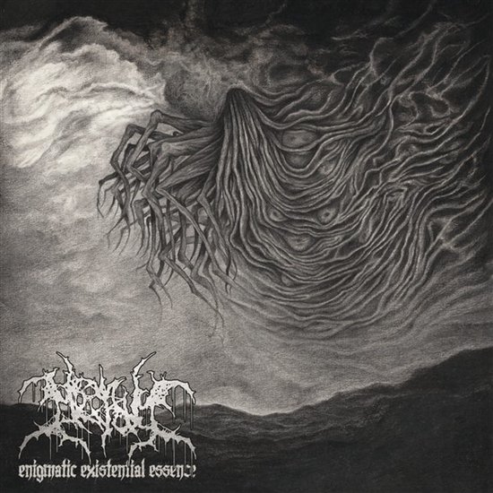 Meshum - Enigmatic Existential Essence (CD)
