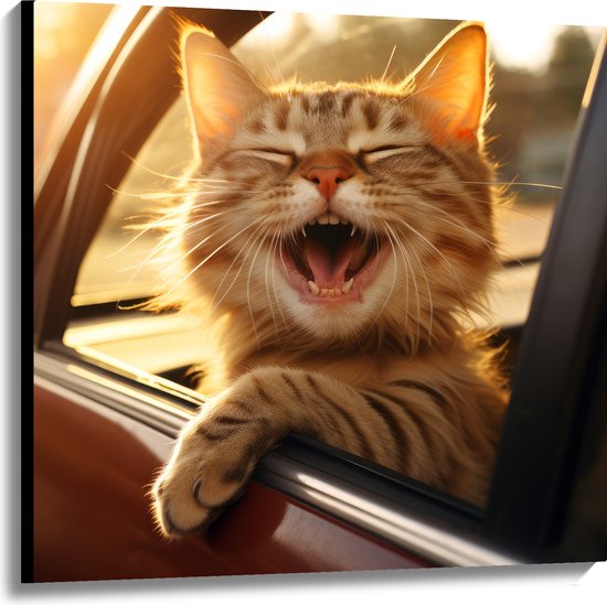 Canvas - Dier - Kat - Auto - Lachen - Tanden - 100x100 cm Foto op Canvas Schilderij (Wanddecoratie op Canvas)