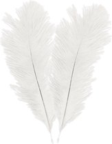 Chaks Plumes d'autruche/plumes décoratives - 2x - blanc - 30-35 cm - matériel de décoration/loisirs