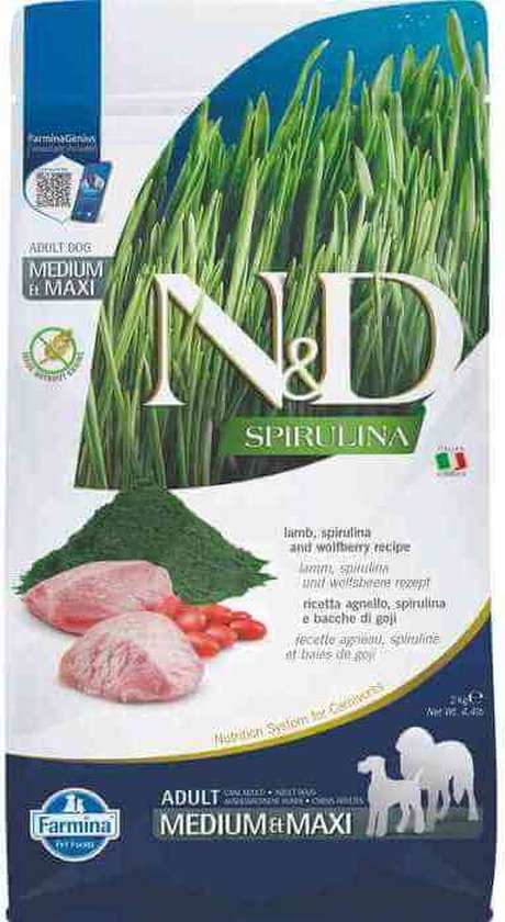 Spirulina Maxi