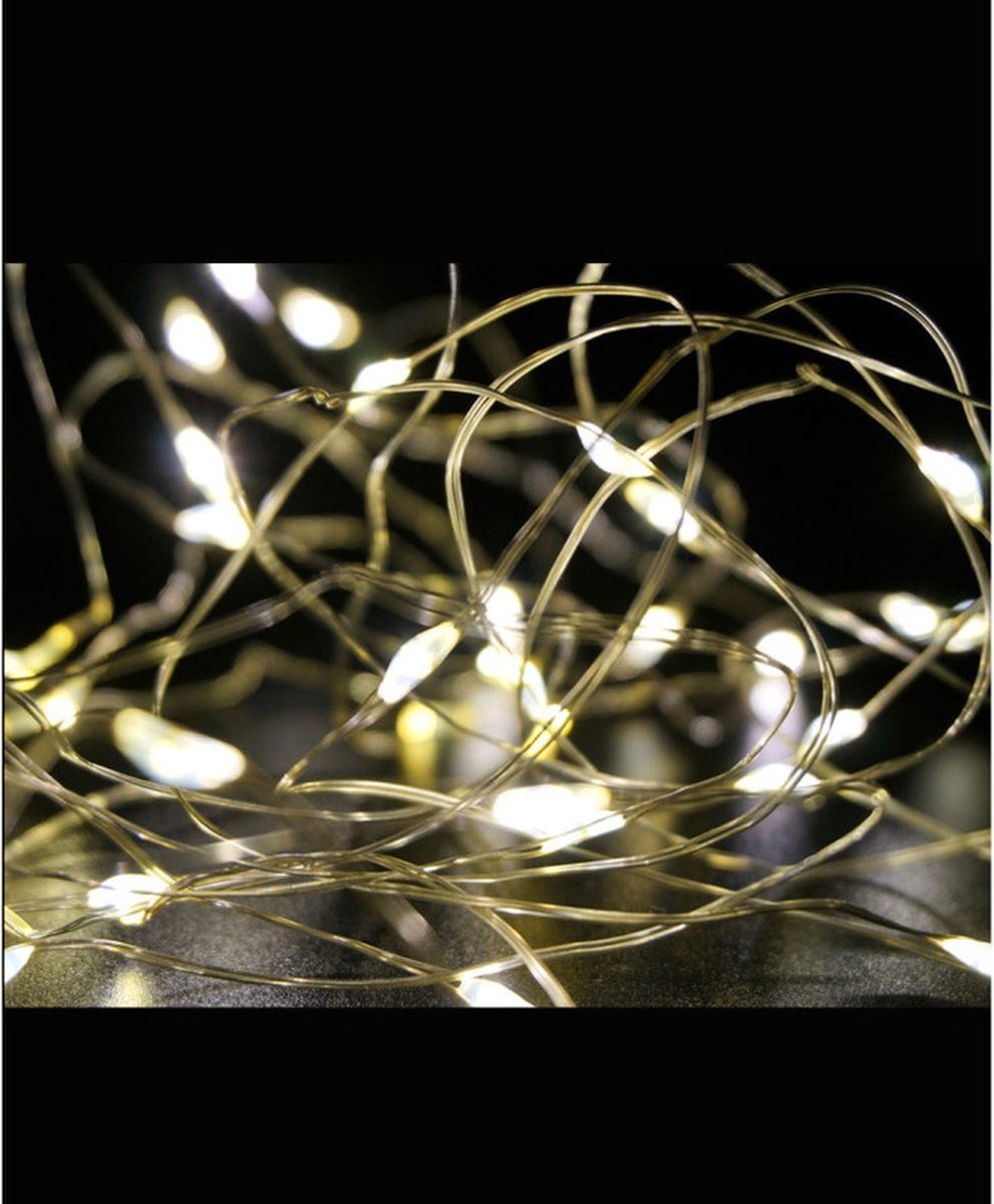 Draadverlichting op batterijen | 1 meter | Warm wit | 20 leds | Zilver