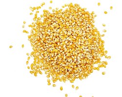 foto van Maïs voor popcorn (zoet)