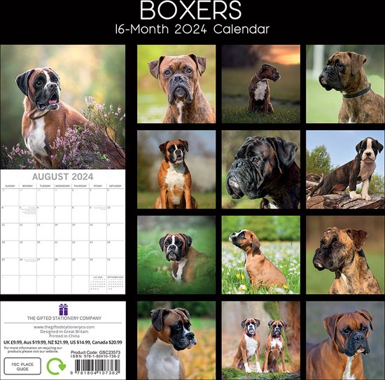 Boxer Kalender 2024 bol