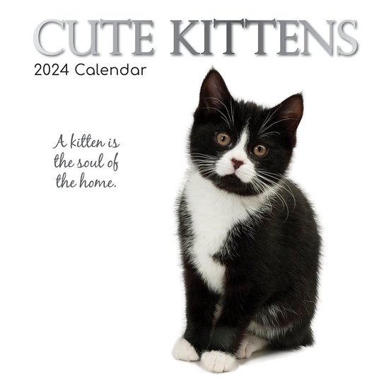 PERIODIQUE CALENDRIER CHATONS 2024