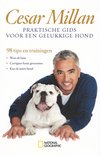 Praktische gids voor een gelukkige hond