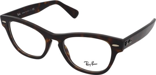 Ray-Ban Laramie RX2201V 2012 Glasdiameter: 51