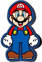 Coussin en forme de Nintendo Super Mario 3D