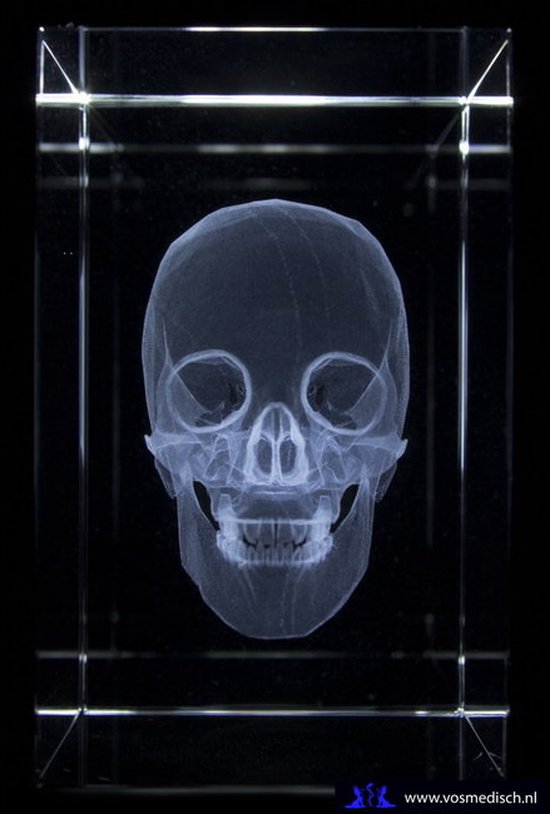 Crâne modèle Anatomie - bloc de verre 3D - cadeau infirmière/ cadeau médecin/ cadeau médecine