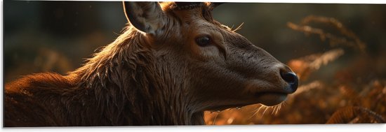 Dibond - Zijaanzicht van Hert in Zonnestralen in het Bos - 90x30 cm Foto op Aluminium (Met Ophangsysteem)
