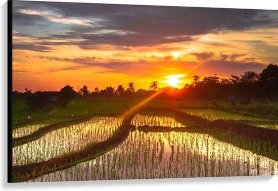 Canvas - Zonsondergang bij de Rijstvelden in Indonesië - 120x80 cm Foto op Canvas Schilderij (Wanddecoratie op Canvas)