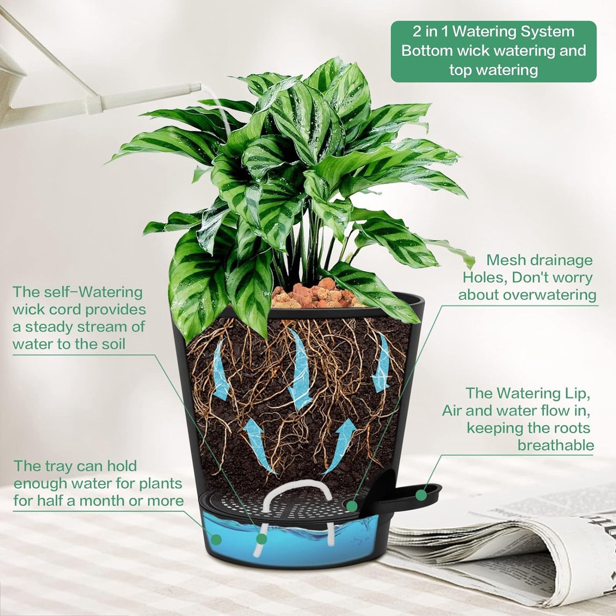 Pots à arrosage automatique de 6,5 pouces avec trous de drainage, 3 pots de  fleurs en plastique pour plantes d'intérieur
