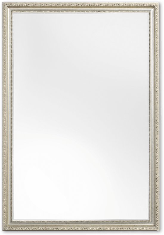 Klassieke Spiegel 47x107 cm Zilver - Olivia