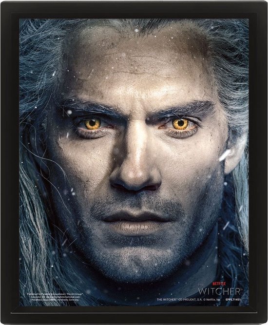 THE WITCHER (INTERTWINED) - FRAMED