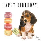 Kaart - Franciens katten - Happy Birthday! - Hond