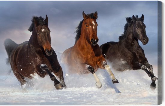 Schilderijkoning - Canvas Schilderij Galopperende Paarden In De Winter - 100 x 70 cm