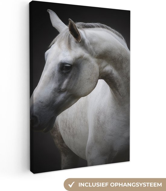 Canvas schilderij - Canvasdoek - Paard - Portret - Dieren - Muurdecoratie - 60x90 cm - Foto op doek - Schilderij paard