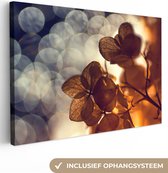 Peinture sur toile - Fleurs - Hortensia - Marron - Branches - Photo sur toile - 180x120 cm - Canvasdoek - Peintures sur toile
