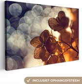 Canvas schilderij - Bloemen - Hortensia - Bruin - Takken - Foto op canvas - 180x120 cm - Canvasdoek - Schilderijen op canvas