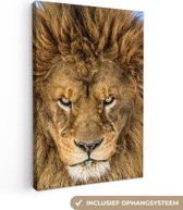 Peinture sur toile - Lion - Animaux - Portrait - Marron - Photo sur toile - Tableau lion - 40x60 cm - Canvasdoek