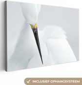 Canvas schilderij - Vogel - Reiger - Veren - Portret - Foto op canvas - Canvasdoek - 120x80 cm - Schilderij vogels