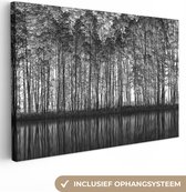 Canvas - Bos - Bomen - Natuur - Schilderij - 60x40 cm - Canvas doek - Wanddecoratie