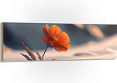 Hout - Oranje Klaproos in de Sneeuw op Bergen - Bloemen - 150x50 cm - 9 mm dik - Foto op Hout (Met Ophangsysteem)