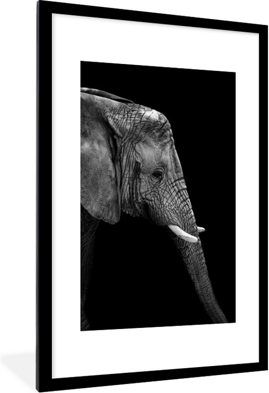 Fotolijst incl. Poster Zwart Wit Olifant Zwart wit Portret