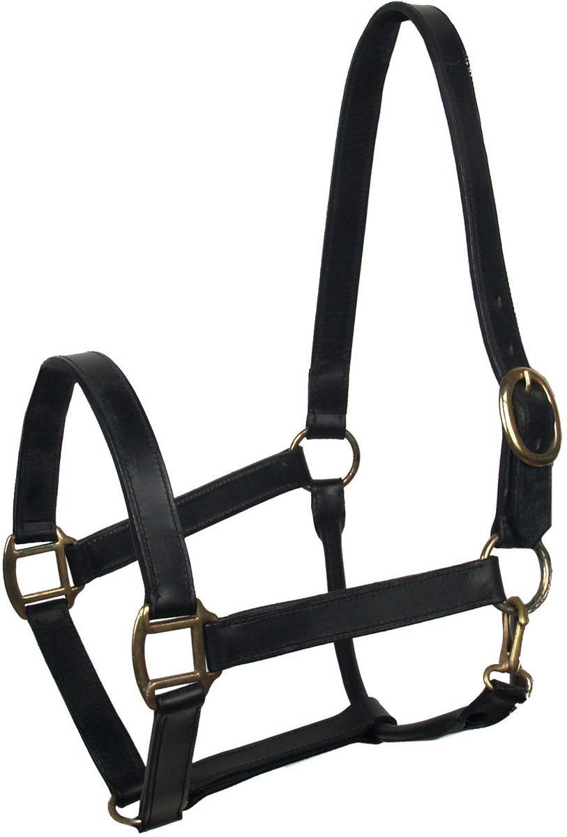 Baseline Leren Halster - Maat: Pony - Zwart - Leer