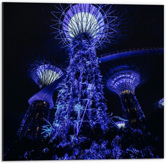 Dibond - Bomen - Planten - Toren - Paars - Blauw - 50x50 cm Foto op Aluminium (Wanddecoratie van metaal)