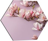 Dibond Hexagon - Roze Magnolia Bloemen bij Roze Achtergrond - 50x43.5 cm Foto op Hexagon (Met Ophangsysteem)