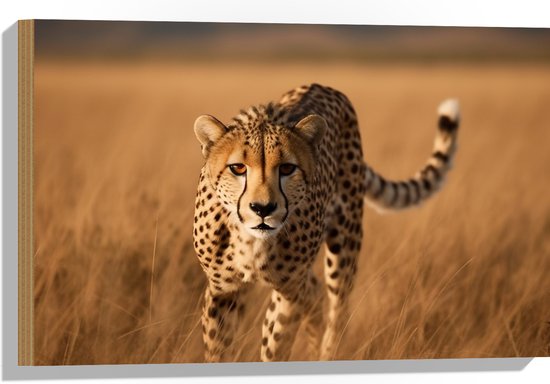 Hout - Zuid Afrikaanse Cheetah loopt door gras heen - 60x40 cm - 9 mm dik - Foto op Hout (Met Ophangsysteem)