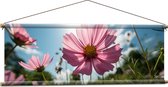 Textielposter - Roze Cosmea Bloemen in een Grasveld bij Heldere Lucht - 120x40 cm Foto op Textiel
