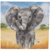 Crystal Art Card: Baby Olifant-Martha Bowyer (18x18 cm)Diamond painting .