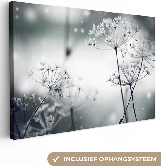 Canvas Schilderij Bloemen - Natuur - Zwart wit - Fotografie - 120x80 cm - Wanddecoratie