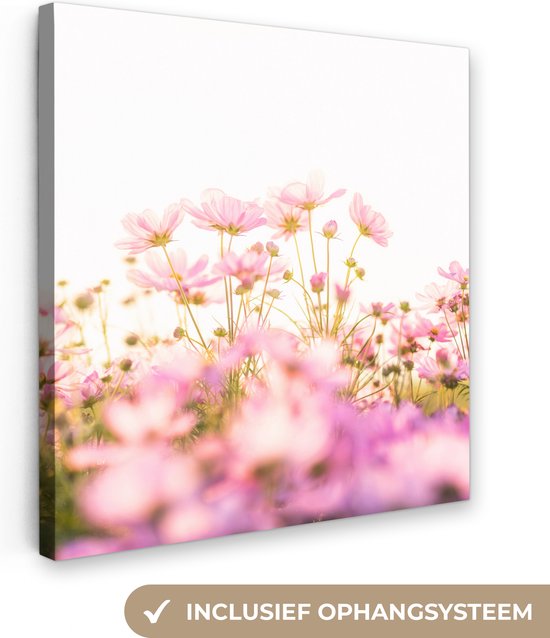 Canvas Schilderij Bloemen - Roze - Zon - Natuur - 20x20 cm - Wanddecoratie