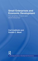 Routledge Studies in Development Economics- Small Enterprises and Economic Development