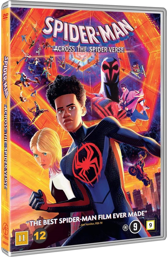 Spider-Man - Across The Spider-Verse (DVD)