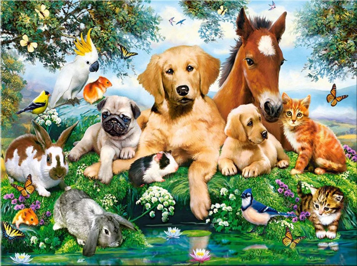 Diamond Painting Huisdieren - 15x20cm - Complete Set - Ronde Diamantjes - Inclusief Tools - Stipco