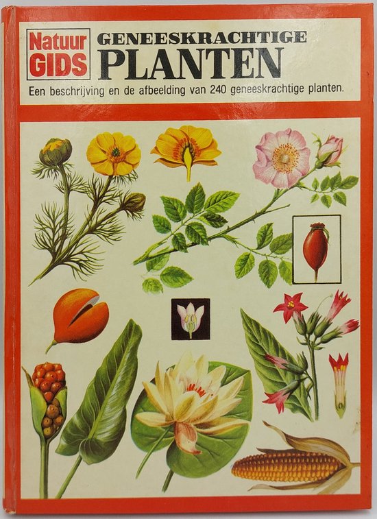 9789024312191 - Geneeskrachtige planten