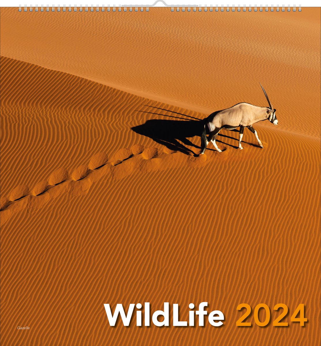 WildLife Wandkalender 2024