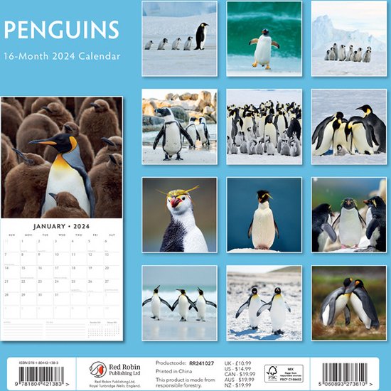 Penguins (Pinguins) Kalender 2024 bol